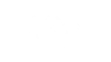 Client logo 13